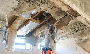 Best Mold Remediation for Healthcare Facilities  in Lebanon, TN